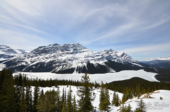 Frozen Peyto Lake